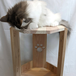 猫アロマ　3階建て 猫ベッド　ベッド　ねこ　木製 4枚目の画像