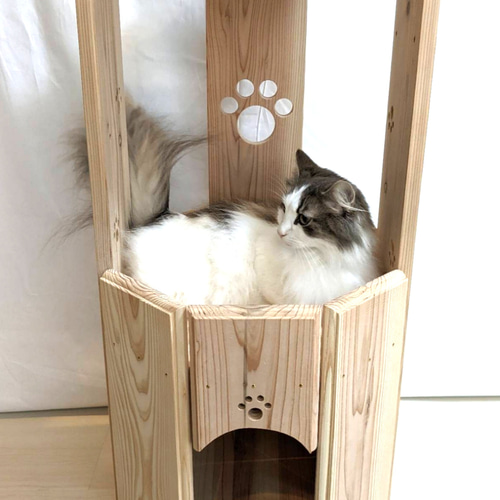 おこりんぼうのハリネズミケージ L754545 ハウス・小屋 A.C.E おこりんぼうのハリネズミケージ L754545 ハウス・小屋 A.C.E