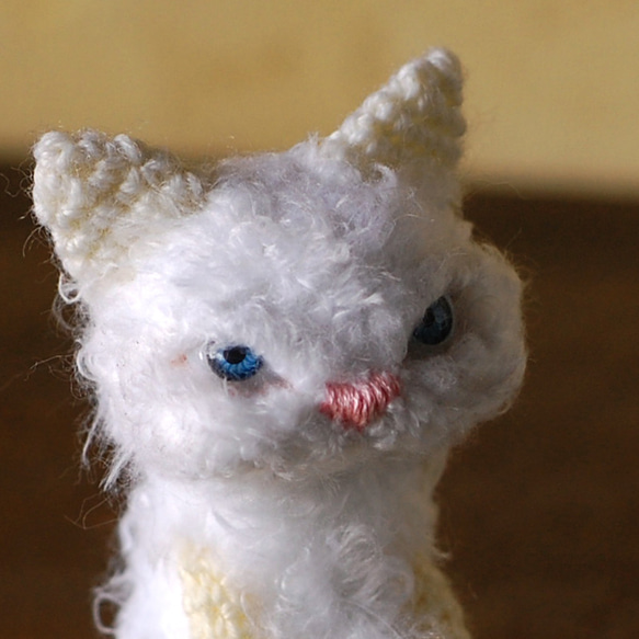 ブルーの瞳の白猫ちゃん（small) 7枚目の画像