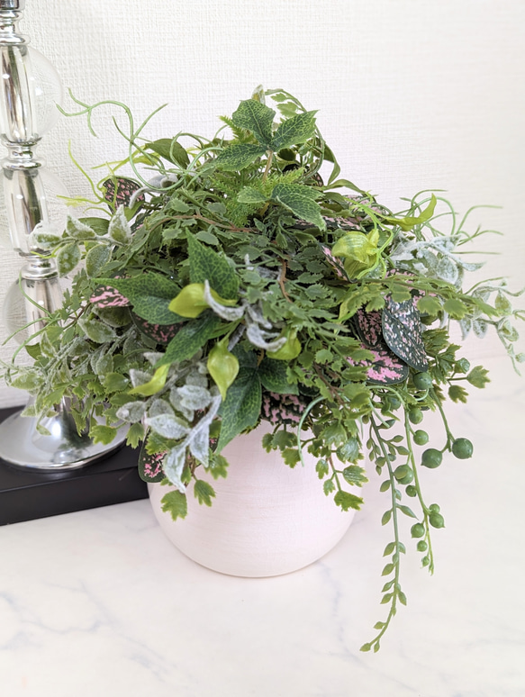 【一点限り】モシャモシャ可愛い!グリーンアレンジメント　観葉植物　インテリア 1枚目の画像
