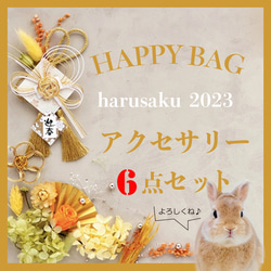 Happy bag 福袋 2023 ハッピーバッグ お正月 アクセサリー6点セット 1枚目の画像