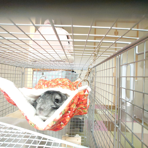 チンチラ用 厚手！潜れるハンモック クッション・ベッド Lapin 通販