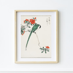 NO.427】柘榴の花とオナガの日本画アートポスター☆お正月和柄鳥