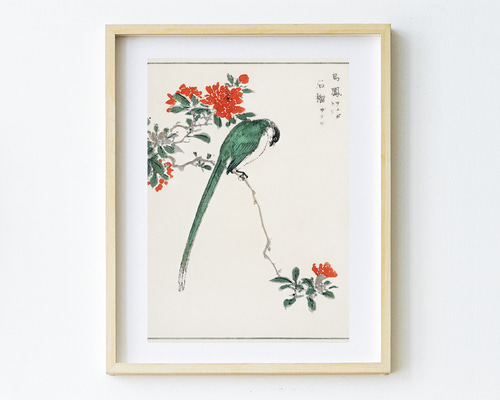 松下宣廉、【銀鶏鳥と椿】、希少な額装用画集画、新品高級額 額装付 松下宣廉、【銀鶏鳥と椿】、希少な額装用画集画、新品高級