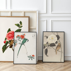 【NO.427】柘榴の花とオナガの日本画アートポスター☆お正月和柄鳥ハガキ2L判A5A4A3A2A1B5B4B3B2B1 9枚目の画像