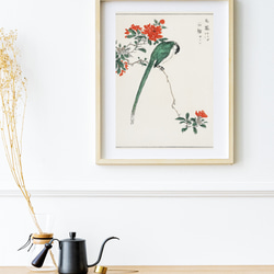 【NO.427】柘榴の花とオナガの日本画アートポスター☆お正月和柄鳥ハガキ2L判A5A4A3A2A1B5B4B3B2B1 5枚目の画像