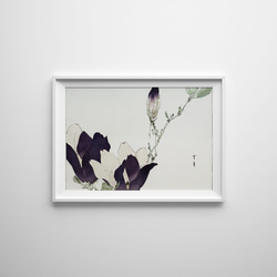 【NO.428】モクレンの日本画アートポスター☆木蓮の花お正月和柄和モダン玄関☆A5A4A3A2A1B5B4B3B2B1 1枚目の画像