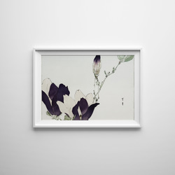 花と果物のモダンアート大きめ絵画 （Amazon.co.jp: 18 の有名な