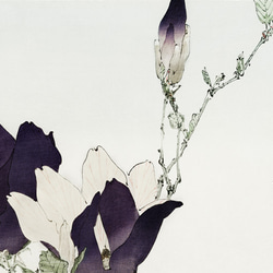 【NO.428】モクレンの日本画アートポスター☆木蓮の花お正月和柄和モダン玄関☆A5A4A3A2A1B5B4B3B2B1 2枚目の画像