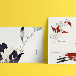 【NO.428】モクレンの日本画アートポスター☆木蓮の花お正月和柄和モダン玄関☆A5A4A3A2A1B5B4B3B2B1 5枚目の画像