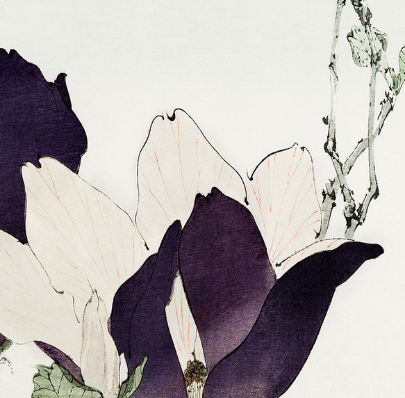 【NO.428】モクレンの日本画アートポスター☆木蓮の花お正月和柄和モダン玄関☆A5A4A3A2A1B5B4B3B2B1 3枚目の画像
