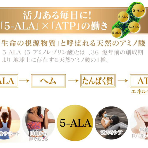 デアザフラビン plus 5-ALA W配合 日本製 純度99.9％以上 1粒NMN1200mg