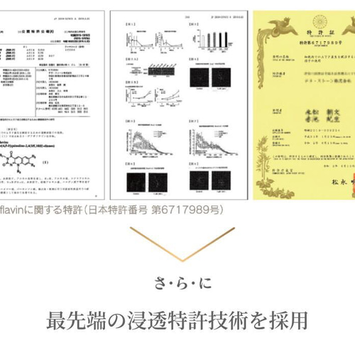 デアザフラビン plus 5-ALA W配合 日本製 純度99.9％以上 1粒NMN1200mg