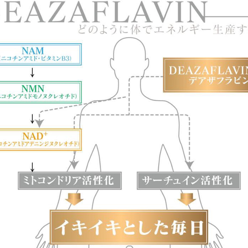 【お得な2本セット】デアザフラビン ➕ 5-ALA 1粒NMN1200mg相当 お得な2本セット】デアザフラビン plus 5-ALA 1粒NMN1200mg相当