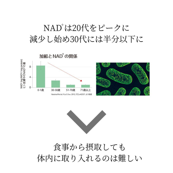 【お得な2本セット】デアザフラビン plus 5-ALA 1粒NMN1200mg相当 NADサプリメント 4枚目の画像