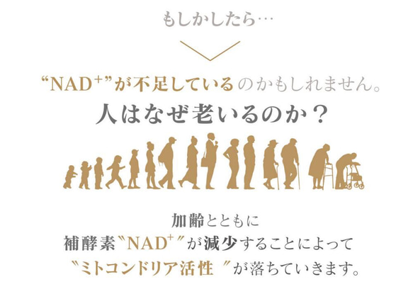 【お得な2本セット】デアザフラビン plus 5-ALA 1粒NMN1200mg相当 NADサプリメント 3枚目の画像