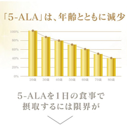 【お得な2本セット】デアザフラビン plus 5-ALA 1粒NMN1200mg相当 NADサプリメント 14枚目の画像