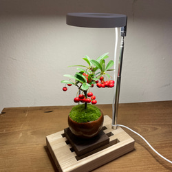 植物育成LEDライトミニ［タモ和風］ 2枚目の画像