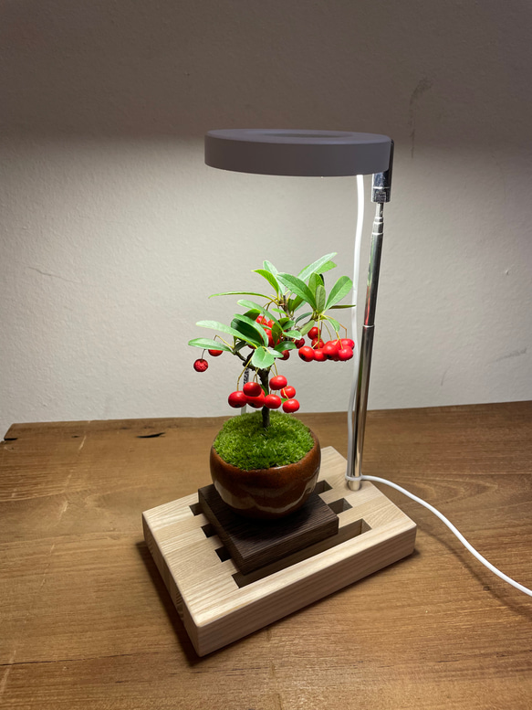 植物育成LEDライトミニ［タモ和風］ 2枚目の画像