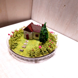 多肉植物　そのまま飾れる寄せ植え　モルタルハウス　ソーラーライト ソーラーライト付きモルタルハウスにちま寄せします(๑・̑◡・̑๑
