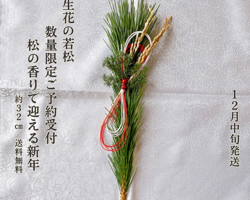 予約受付｜限定】天然若松×紅白水引の迎春飾り 2026｜正月飾り・玄関
