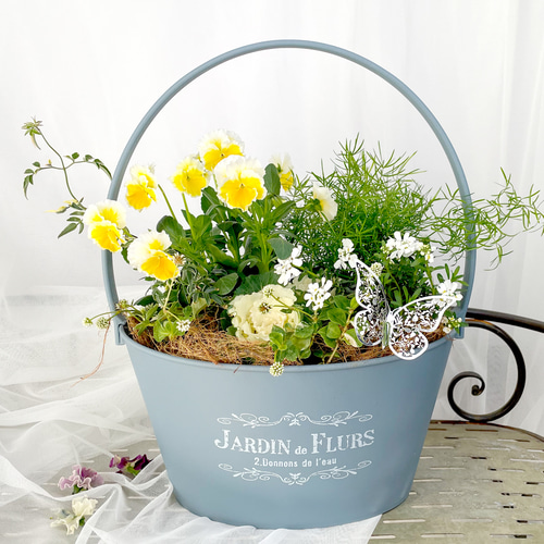 寄せ植え　花■大人可愛いバスケット 受注制作】自分へのご褒美 新春 春の寄せ植えデザイン ビオラ