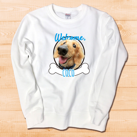 open yy 青い蛇デザイン パーカー Open yy 青い蛇グラフィック フル