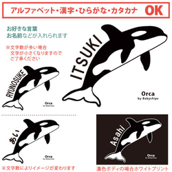 【メール便送料無料】 名入れ 長袖 Tシャツ プレゼント  水族館 【 シャチ 】［ lt-animal208 ］ 3枚目の画像