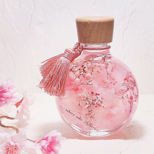 桜のハーバリウム 春 さくら ハーバリウム・植物標本 ++Tiny++ 通販