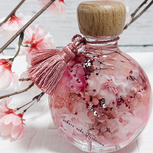 桜のハーバリウム 春 さくら ハーバリウム・植物標本 ++Tiny++ 通販