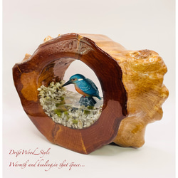 一つ限りの流木アート カワセミ ジオラマ 流木 フィギュア 置物 鳥 インテリア レジン テラリウム 水辺 N6 3枚目の画像