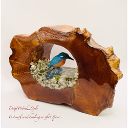 一つ限りの流木アート カワセミ ジオラマ 流木 フィギュア 置物 鳥 インテリア レジン テラリウム 水辺 N6 7枚目の画像