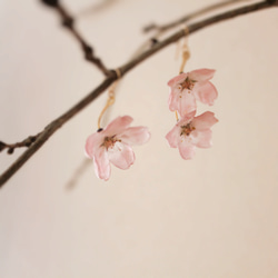 母の日限定 桜のピアス＆ネックレス｜イヤリング｜No.183 17枚目の画像