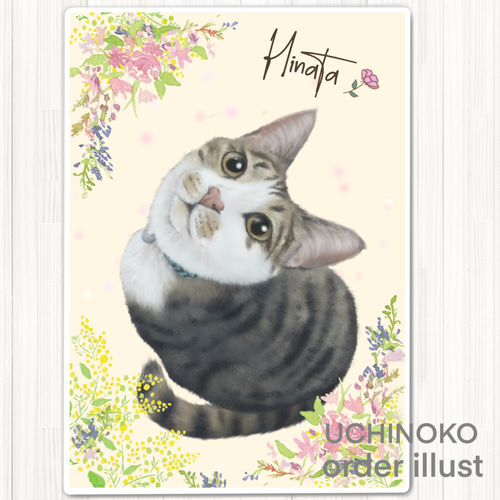 Yahoo!オークション - ねこまたなおみ 手描きイラスト色紙