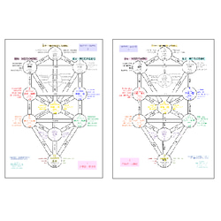 【生命の樹】日本語版 内観シート 2枚目の画像