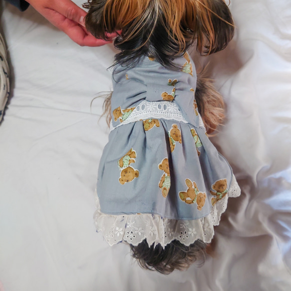 着せやすい犬服・くまちゃん柄ワンピース・スモック♥オーダーメイドで♪ 6枚目の画像