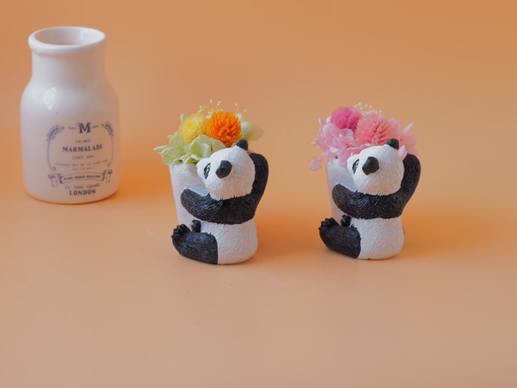 お花を抱えたパンダちゃん【プリザーブドフラワー】 4枚目の画像