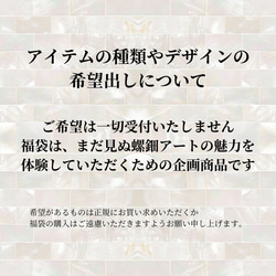 1/6 21:00再販【スタンダードコース】プリクリ新春福袋《HAPPIEST BAG 2024》限定300袋 14枚目の画像