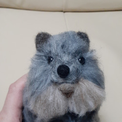 羊毛フェルトオーダー・母の日ギフト受け付け 羊毛フェルト☆額入り犬猫ちゃんオーダーメイド受付中