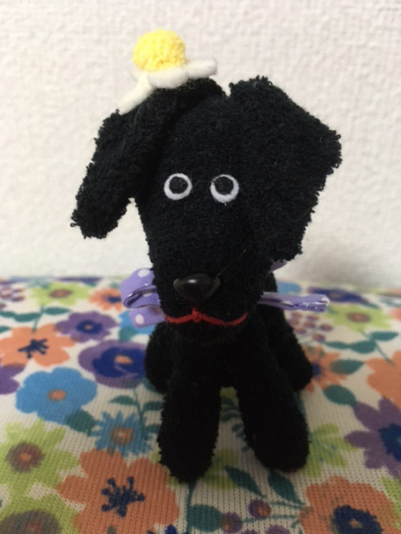 垂れ耳のおとぼけ黒犬（タオル地） ぬいぐるみ はっぱちゃん 通販