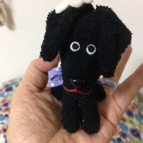垂れ耳のおとぼけ黒犬（タオル地） ぬいぐるみ はっぱちゃん 通販
