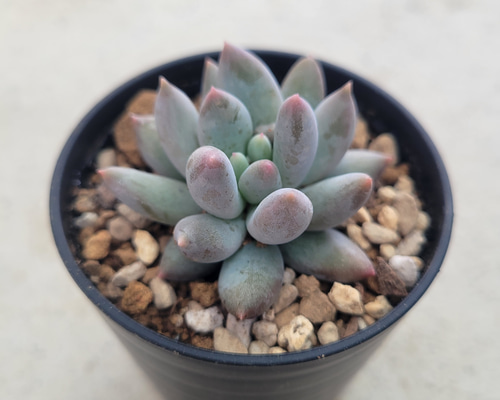 85ced4683fd89682ca78da9b74a2f7