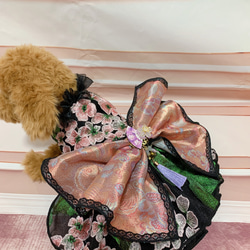 即納可能⭐︎犬猫うさちゃん服　BIGリボン　和♡ドレス　 16枚目の画像