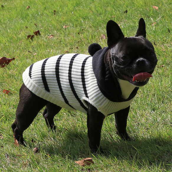 犬服　あったかニットセーター‼　片畦ボーダーパーカー 11枚目の画像