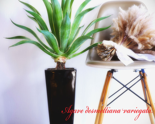 4b0f2294358079f60d709398306fe7