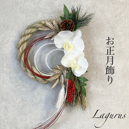 即日発送可】【フォロワー1000感謝 SALE】【新作】Lサイズ 胡蝶蘭