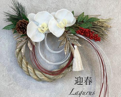 即日発送可】【フォロワー1000感謝 SALE】【新作】Lサイズ 胡蝶蘭