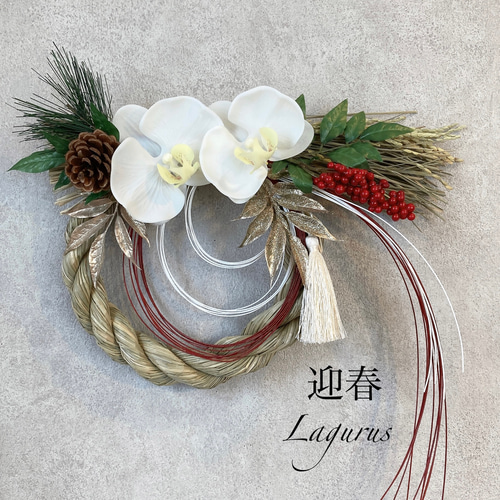 即日発送可】【フォロワー1000感謝 SALE】【新作】Lサイズ 胡蝶蘭