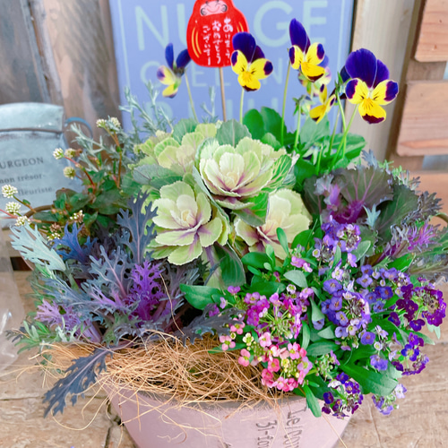 現品SALE♡ラスト【6種類ガーデニング】葉牡丹入り寄せ植え