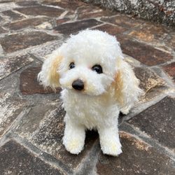 Amazon.co.jp: ぬいぐるみトイプードル犬テディベアハンドメイド